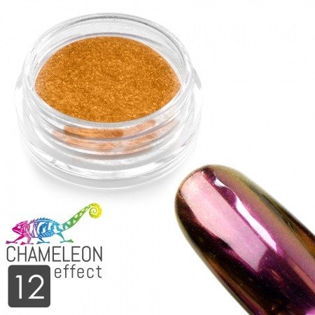 CHAMELEON EFFECT pigment č.12