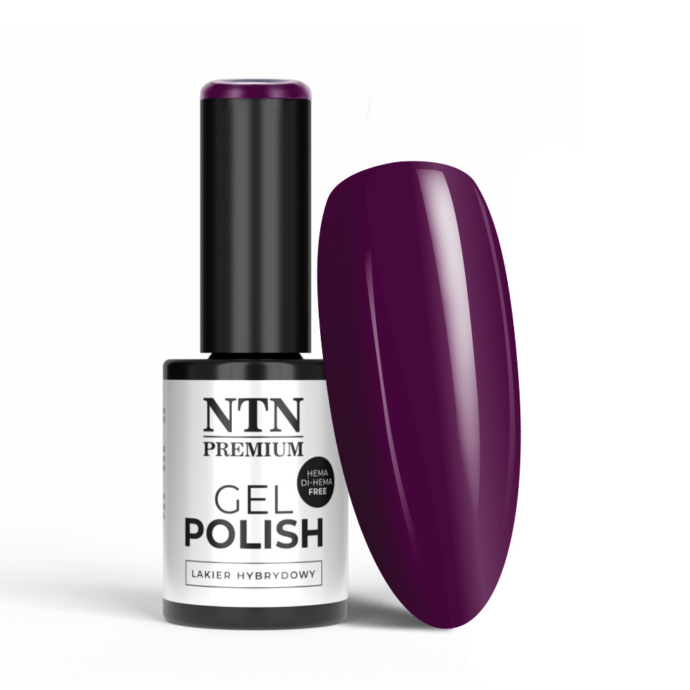 Gél lak NTN premium Romantica Collection 104