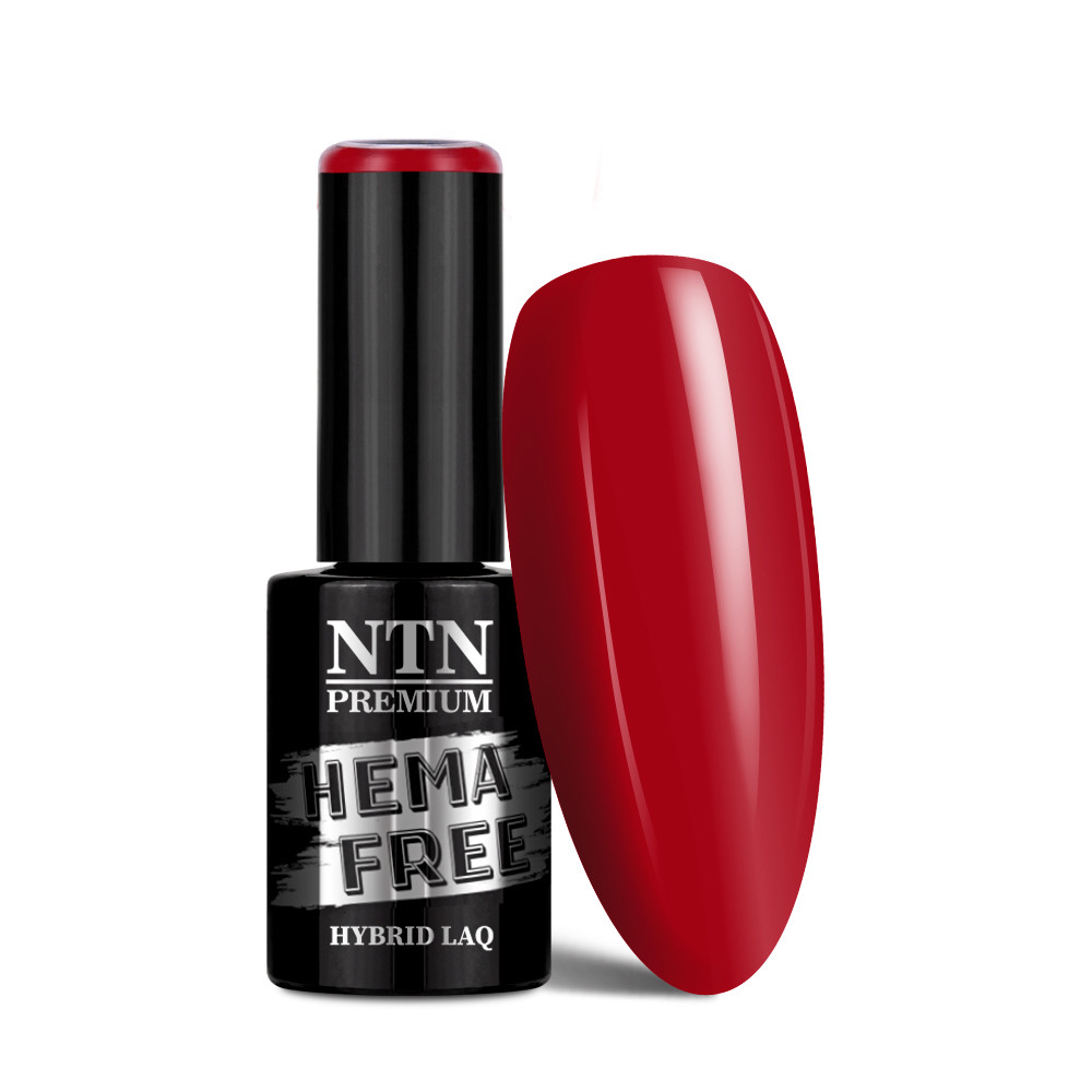 Gél lak NTN premium Celebration Collection 168