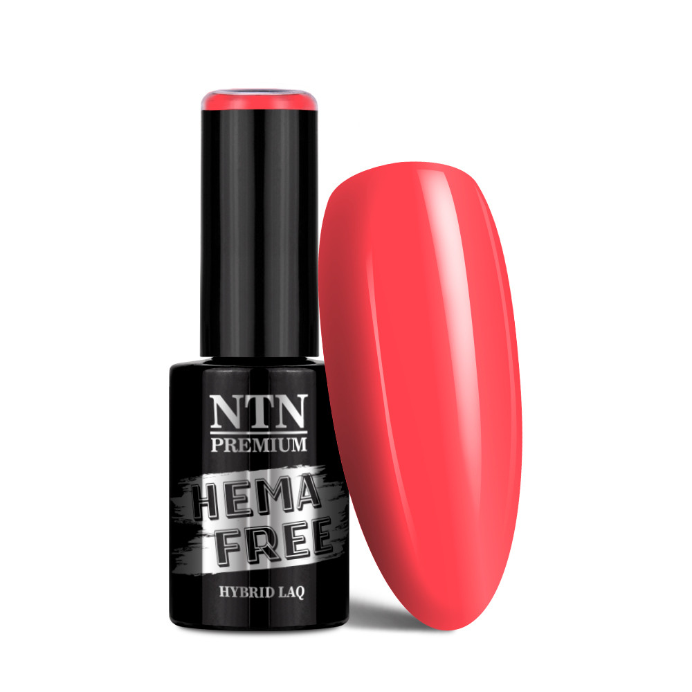 Gél lak NTN premium Dessert Collection 91