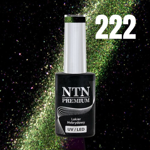Gél lak NTN PREMIUM Magnetic Cat Eye 6D č.222