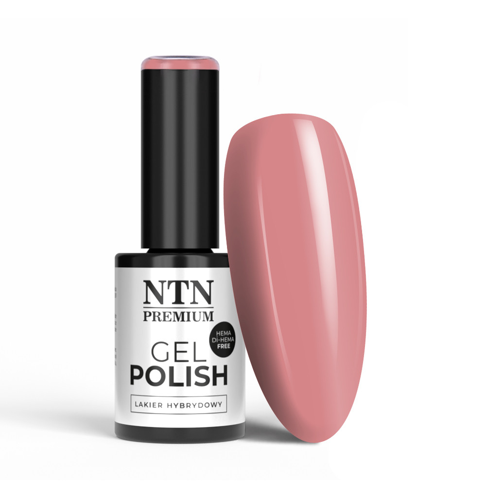 Gél lak NTN premium Day Dreaming 58
