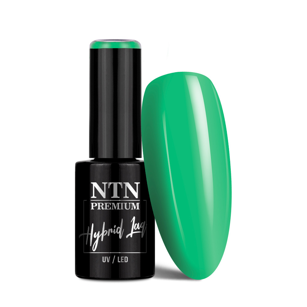 Gél lak NTN premium Limited Edition 5g Nr 371