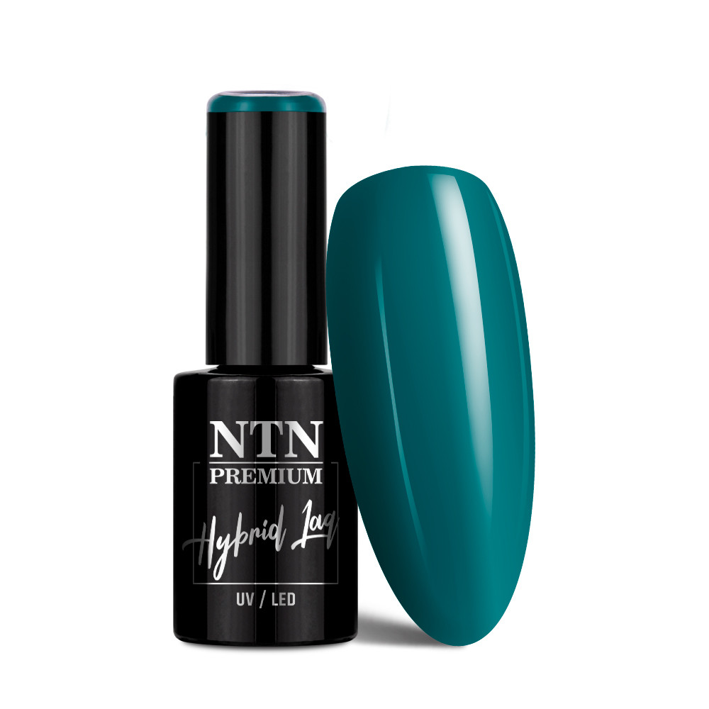 Gél lak NTN premium Limited Edition 5g Nr 374