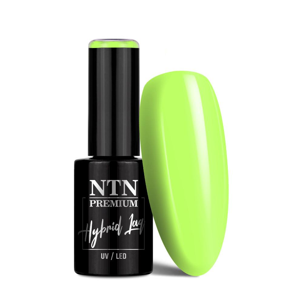 Gél lak NTN premium Limited Edition 5g Nr 379