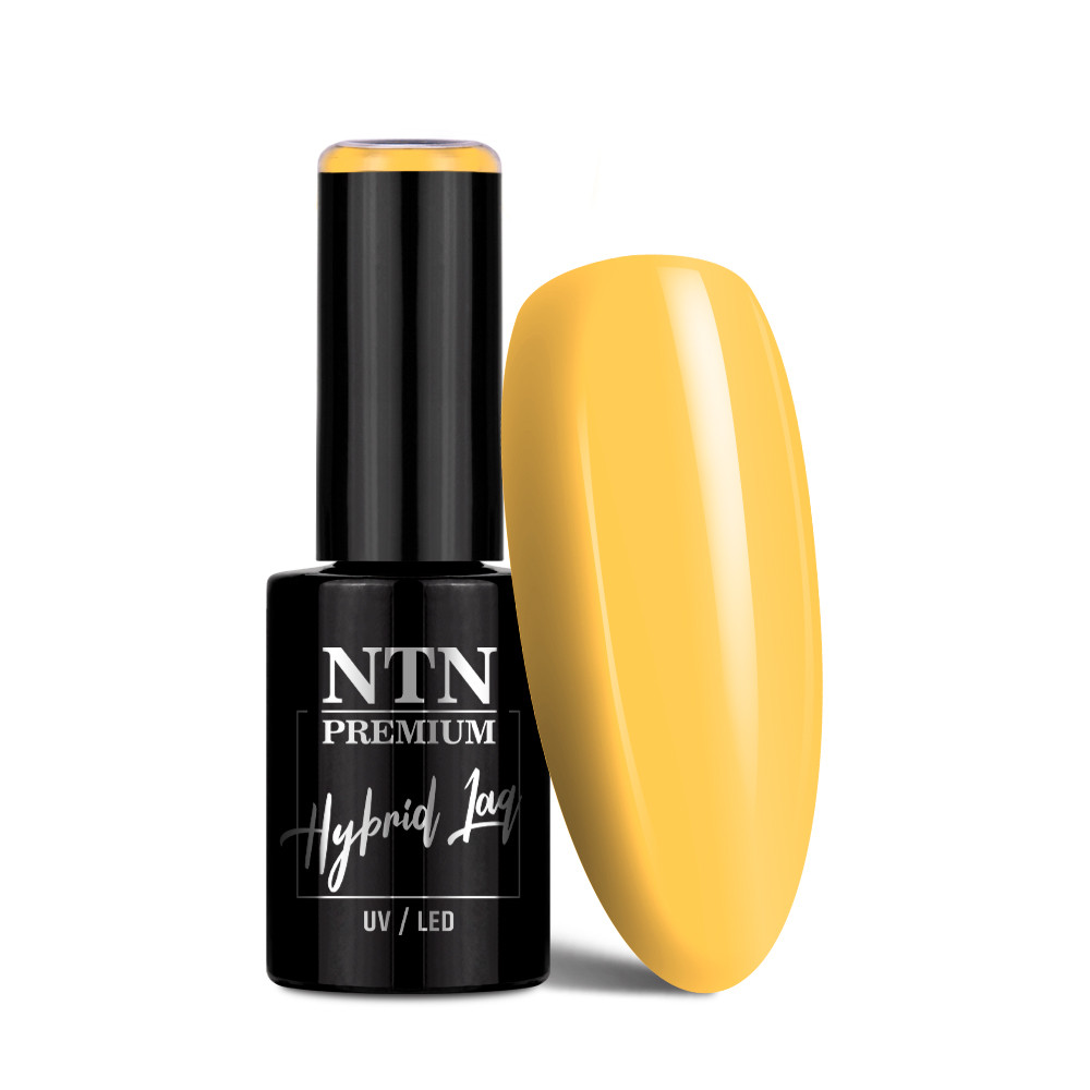 Gél lak NTN premium Limited Edition 5g Nr 381