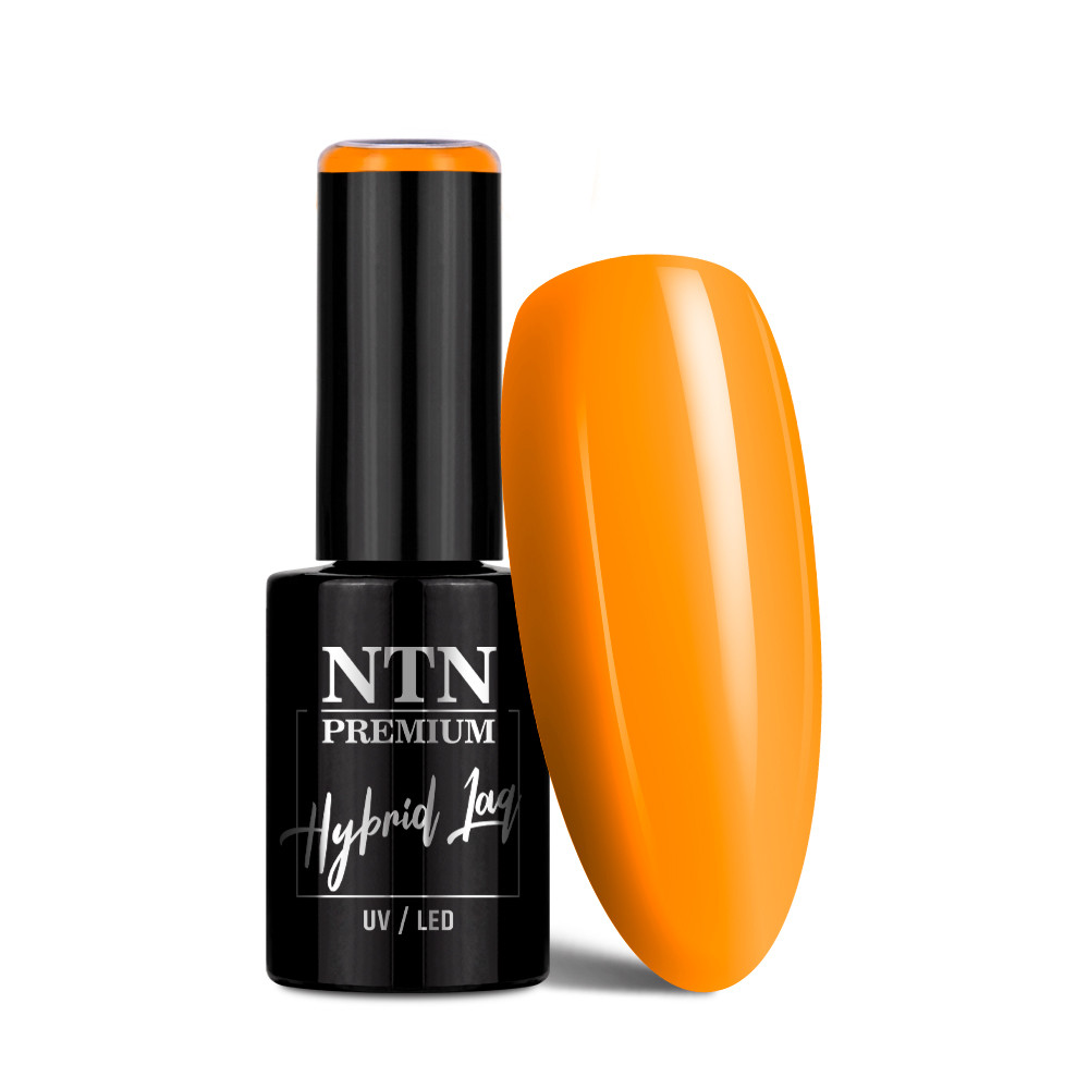 Gél lak NTN premium Limited Edition 5g Nr 382