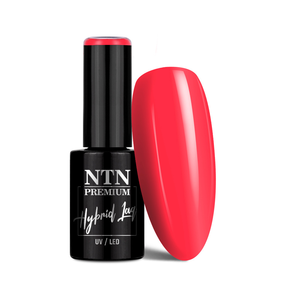 Gél lak NTN premium Limited Edition 5g Nr 384