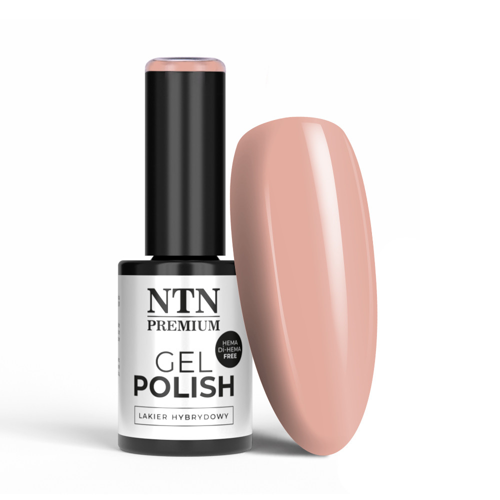 Gél lak NTN premium Day Dreaming 60