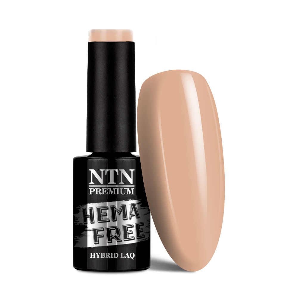Gél lak NTN premium Day Dreaming 62
