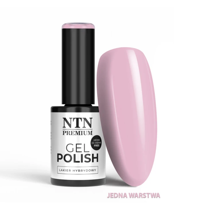Gél lak NTN premium Purples Limited Edition 5g Nr 547