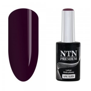 Gél lak NTN premium Seductive Collection 132