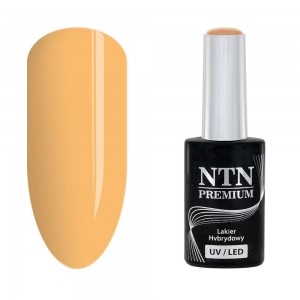 Gél lak NTN premium Show Collection 110