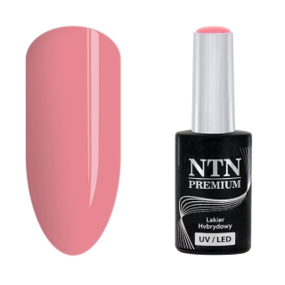 Gél lak NTN premium Dessert Collection 92
