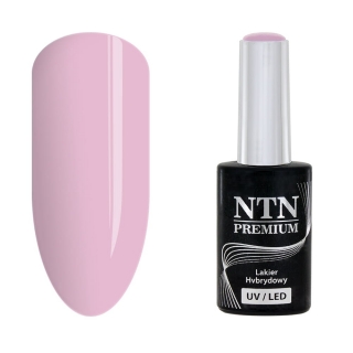 Gél lak NTN premium Dessert Collection 93